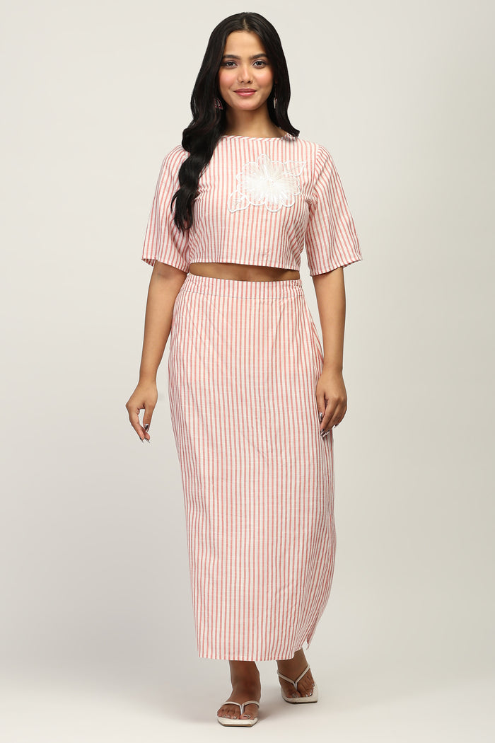 Women Schiffli Striped Crop Top