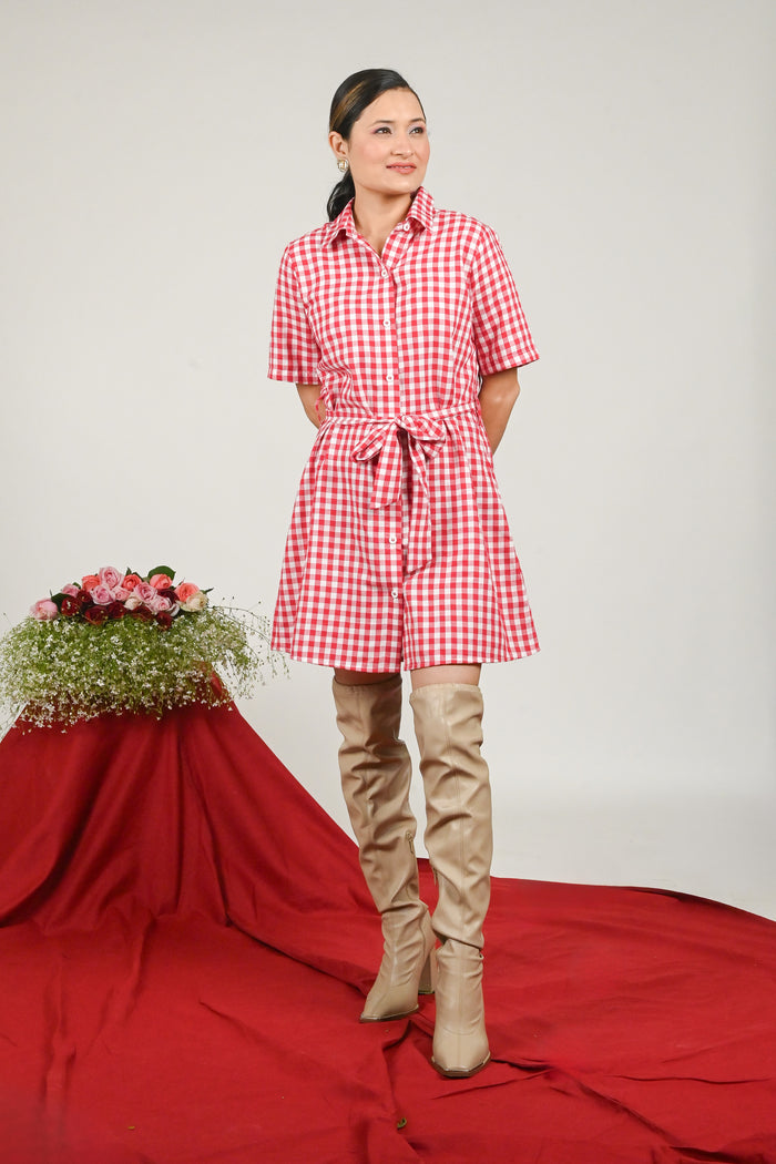 Women Red Checked Shirt Dress