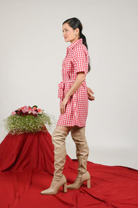 Women Red Checked Shirt Dress
