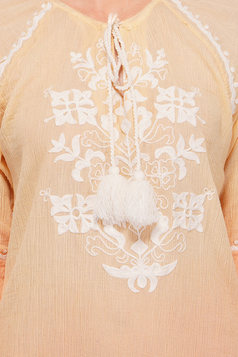 Ombre Embroidered Tunic Dress
