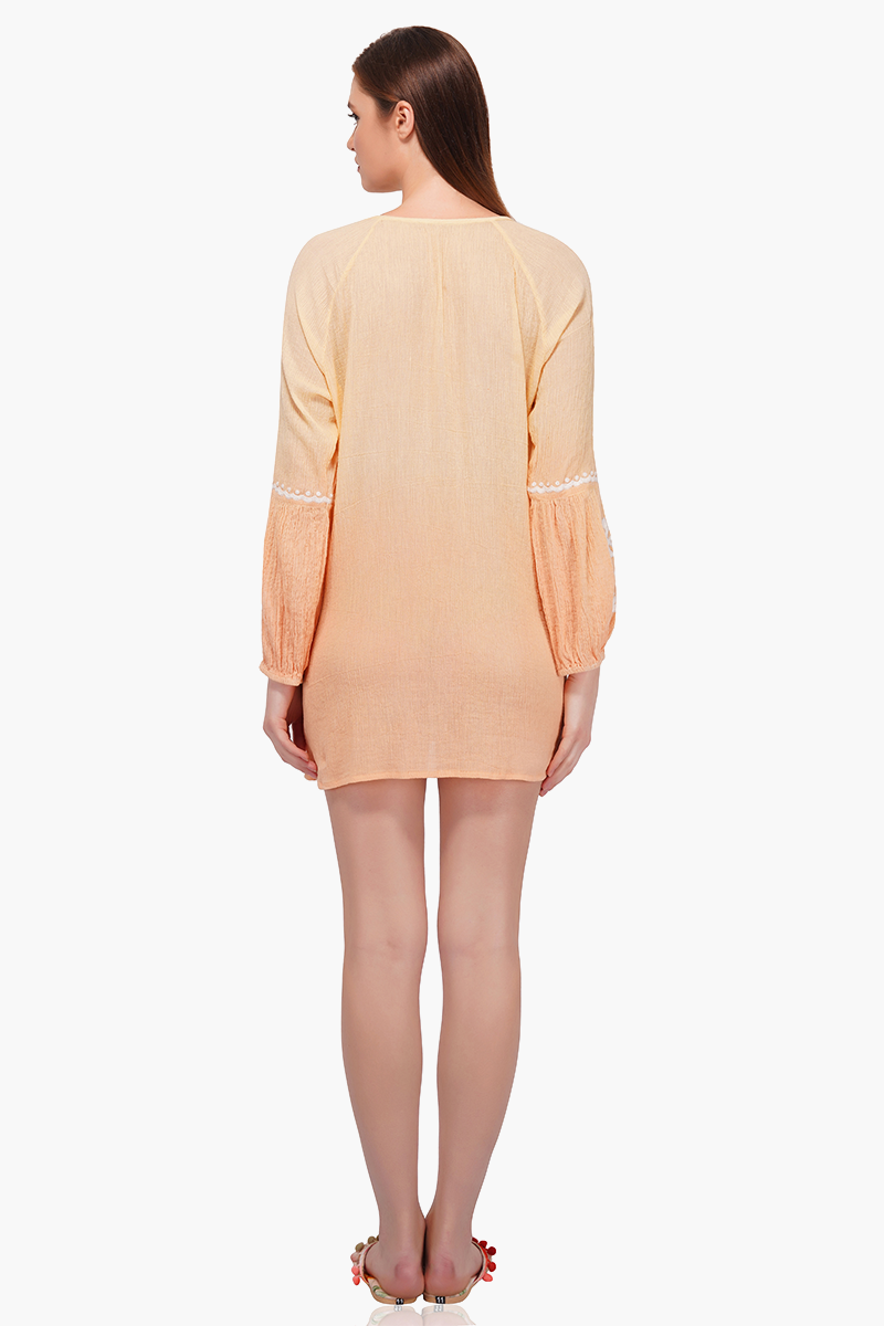 Ombre Embroidered Tunic Dress